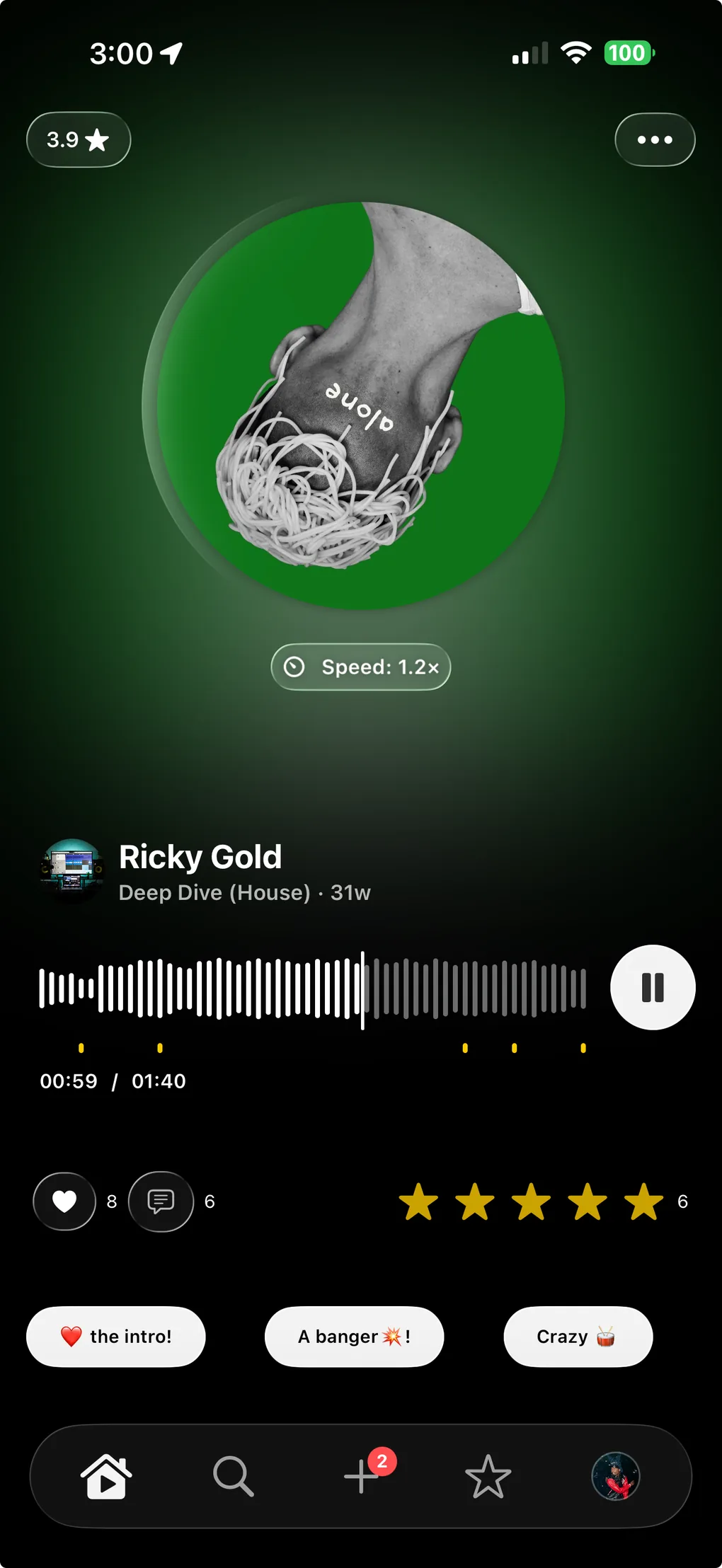 The Spins player, showing a track with timestamped review notes